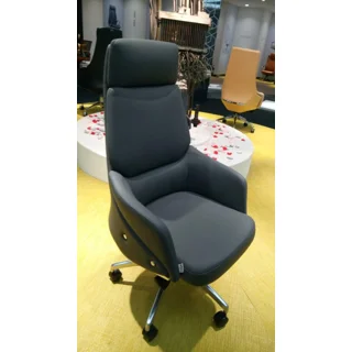 Executive Modern Recline Chair